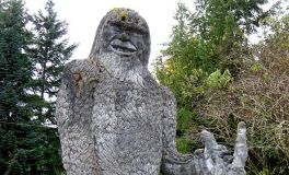 Bigfoot: Theory of a Wildman