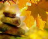Meditation: The Human Element