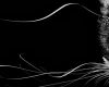 The Sound of an Omen